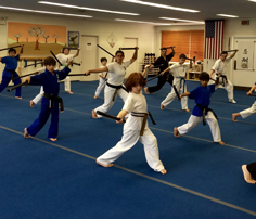 Karate Training